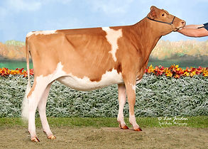 GFL29660 Prairie Moon Cadet Annie.jpg