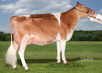 GFL31663 CB VG GP Dont Trick Me-ETV.jpg