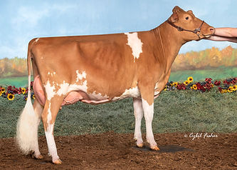 GF57256 Coulee Crest Landon Shauna-ETV.jpg