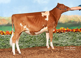 GFL25111 Coulee Crest Lockley Las-ETV-P.jpg