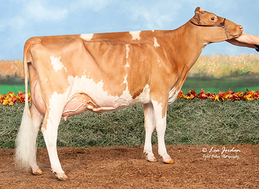 GFL28326 PR-Valley Gem Summit Quiana.jpg