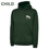 Thumbnail: THE PONY CLUB NAF REGIONAL CHAMPIONSHIP HOODIE