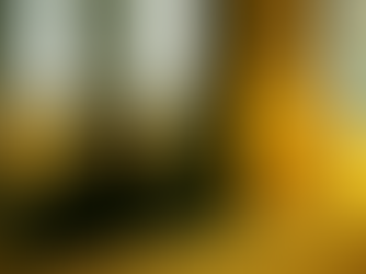 ¿Actualmente cuál es el rol de la mujer cristiana en la Iglesia?