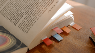 6 increíbles pasos para estudiar la Biblia