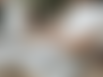 ¿Cómo enfocarte en medio de los nuevo comienzos?