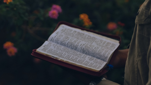 ¿Cómo leer la biblia por primera vez?