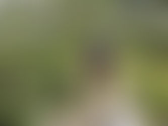 L'abandon est une option