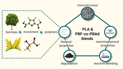 Check out the latest articles published by BikiarisLab