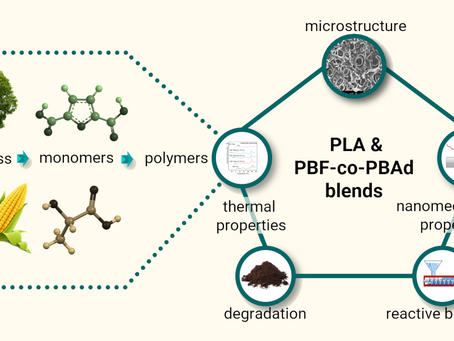 Check out the latest articles published by BikiarisLab