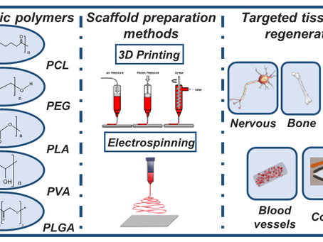 Perspective: Biocompatible Synthetic Polymers for Tissue Engineering Purposes
