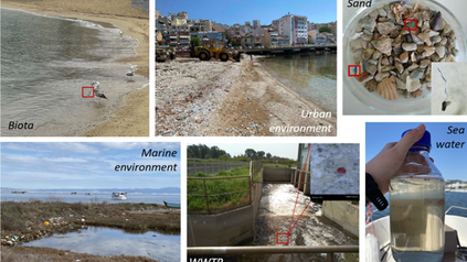 Advancing Environmental Research: Insights from Our Presentation at the 8th Environmental Conference