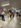 IMG_3532.jpeg
