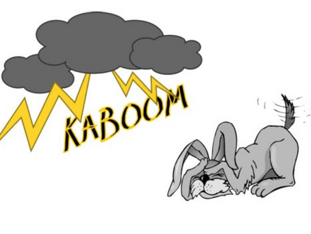 Is you pet afraid of loud noises?
