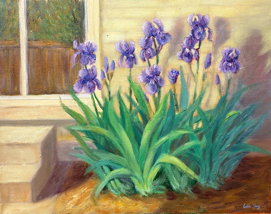 impressionist-blue-irises-outdoor-garden