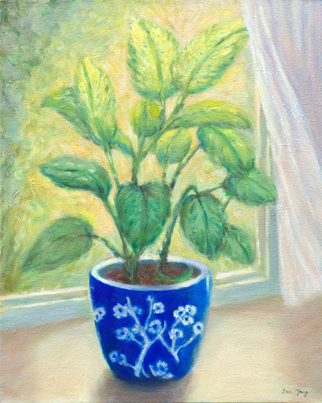A serene still life oil painting of a potted green plant sitting on a sunny windowsill.