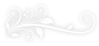 unnamed (4).png