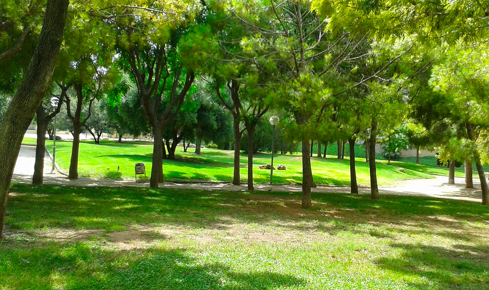 Yoga Urbano en el Parque de la Cuidad (Quinta San Rafael)