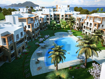 Beachfront residential resort with palm trees and pools