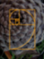 Rilievo -custom made design - Golden spiral diagram inspiration