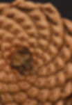 Rilievo -custom made design pine core pattern inspiration - from nature