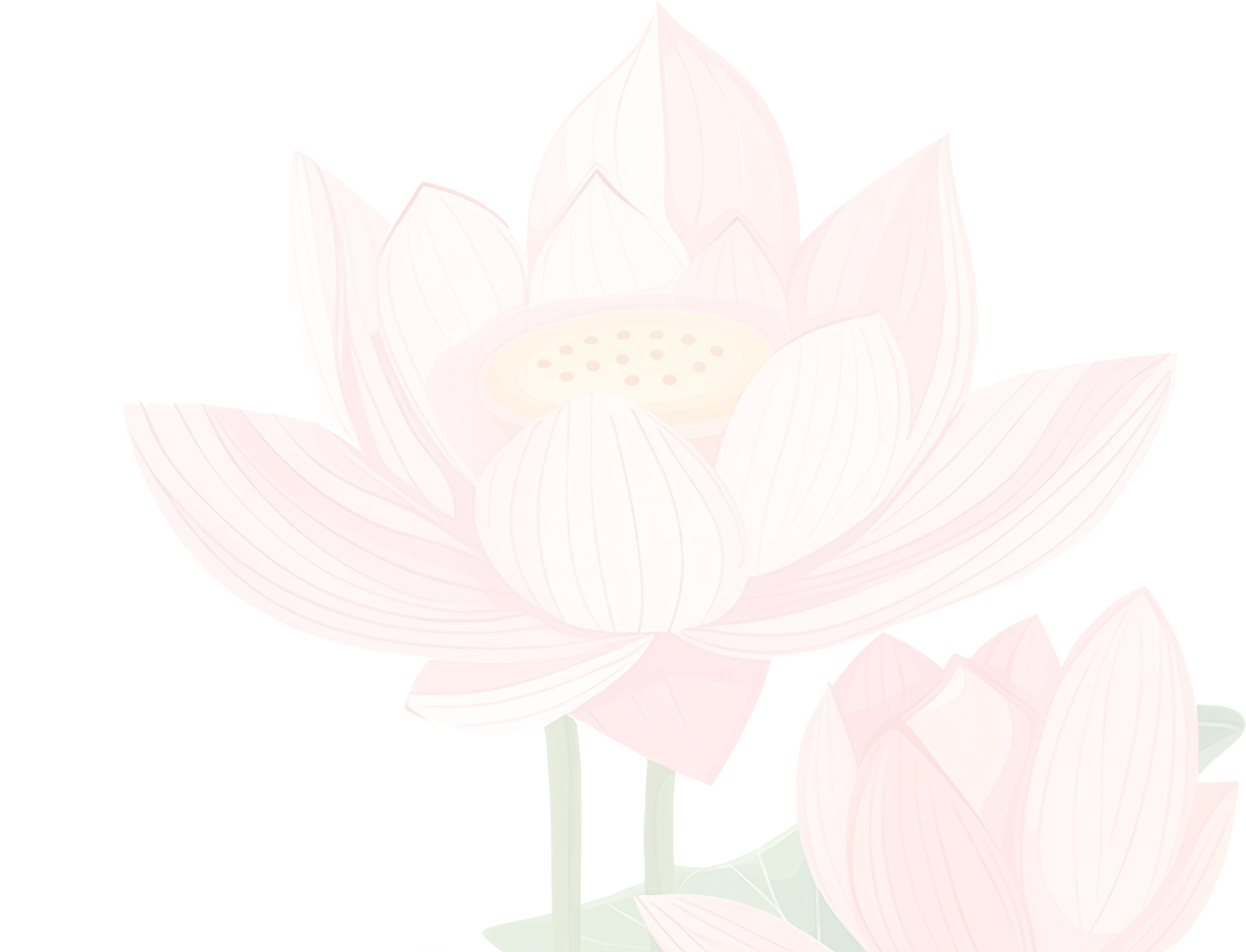 Lotus.gif