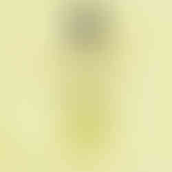 Confezione gialla di shampoo bio