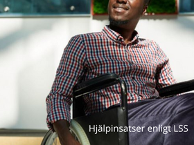 10 insatser enligt LSS - del 1