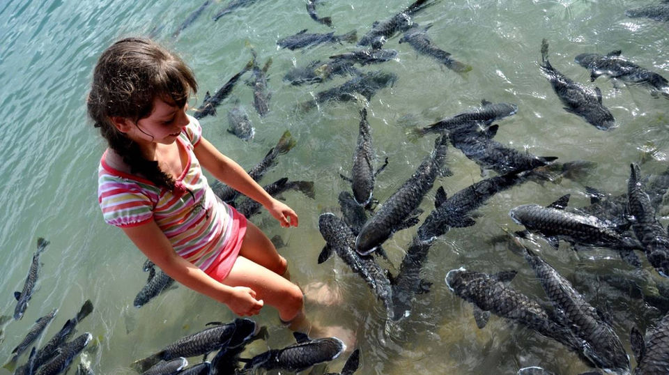 Aquascene-Things-To-Do-In-Darwin.jpg