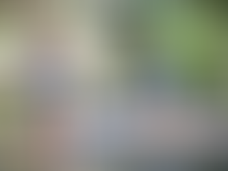 DIRT FISHING WITH MINELAB EQUINOX