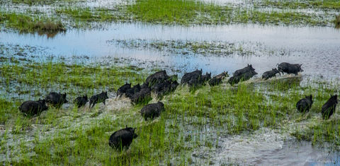 darwin-helicopter-tours