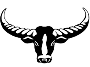 Daly River Buffalos Football Club