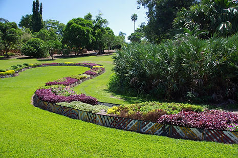 AU-Darwin-botan-garden.jpg