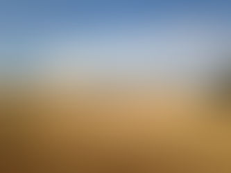 Agribusiness Law : Farm Management Grants Available to Primary Producers