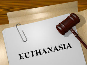 Pressure on Queensland Government to Legalise Euthanasia