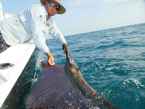 Alex's Fishing Column 31 October 2019