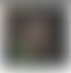 “Cheap Japanese Bass”: Steve Liebermans punkchaos brult nog steeds op album 85