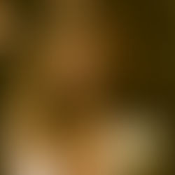 Exzenya's "Scansion" is ritme in menselijke vorm