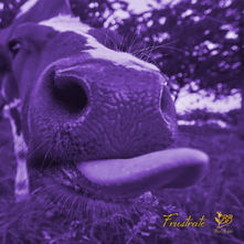 Doorbrekende stilte: de ongefilterde kracht van Bad Bubble in "Frustrate"