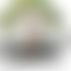 "You Gotta Know" - Collaborations levert soulvolle urgentie met een vintage hart