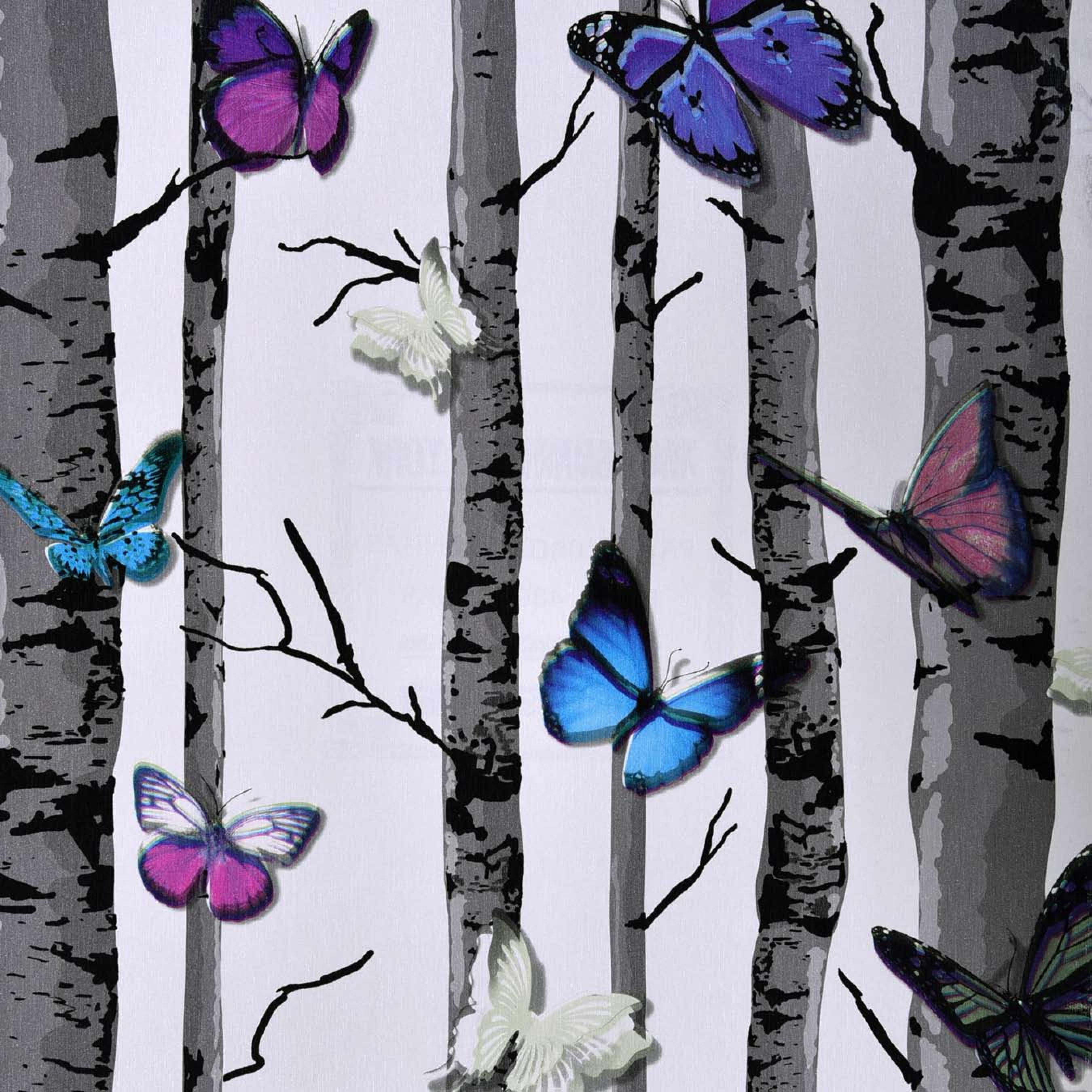 Poddar's New York Collection 11