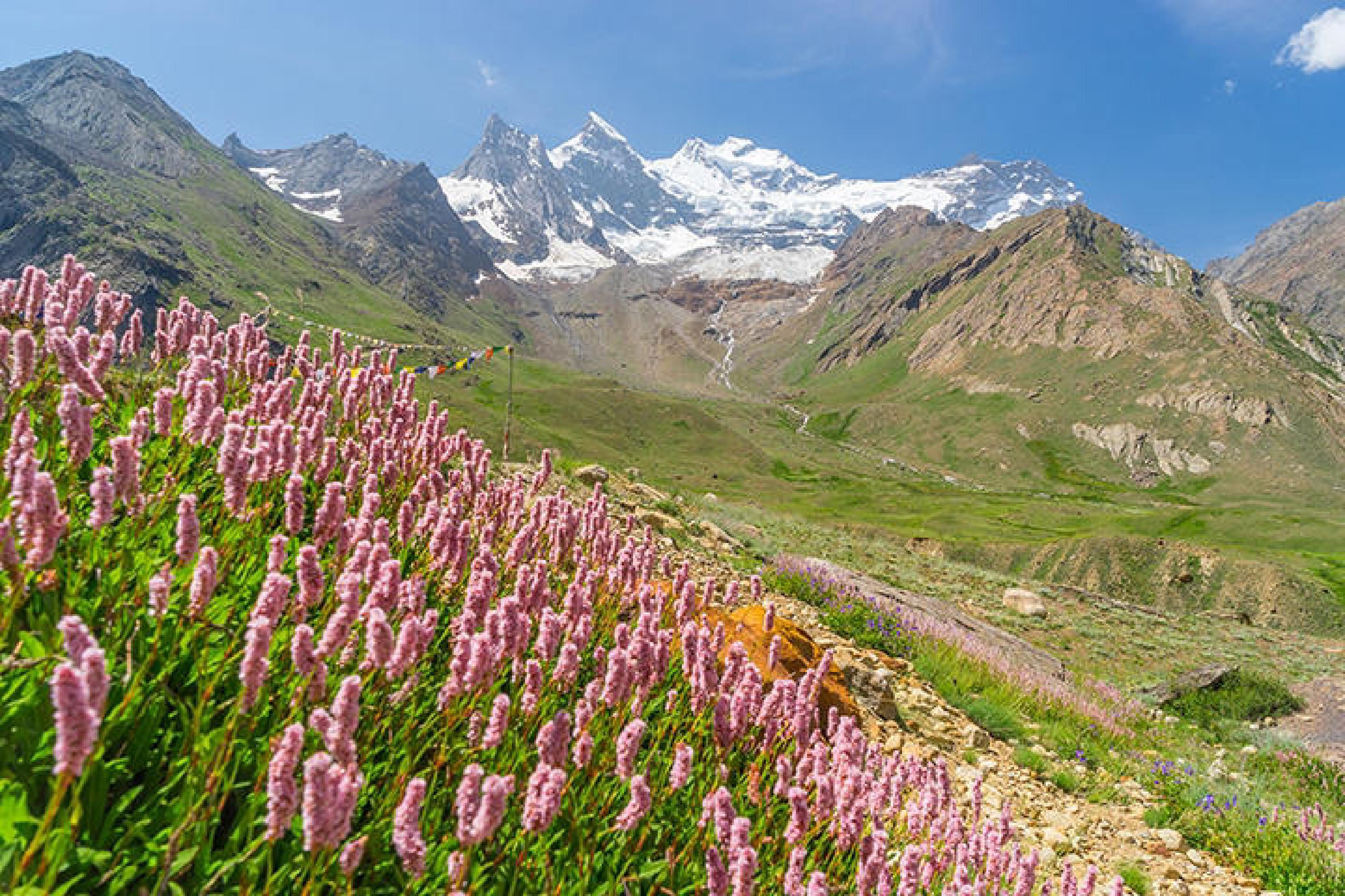 Poddar's Mountain 026