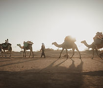 Wandertrekking Sahara Trekking
Marokko