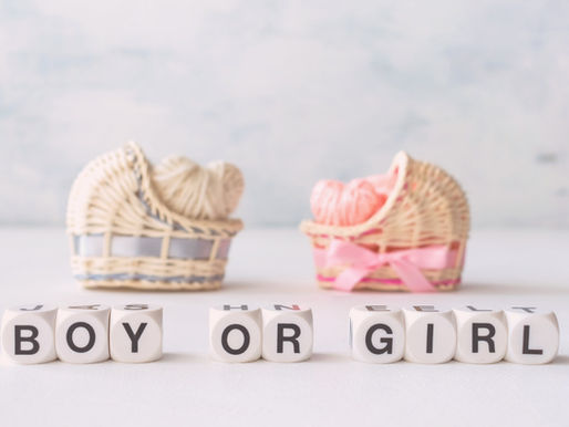 Boy Or Girl