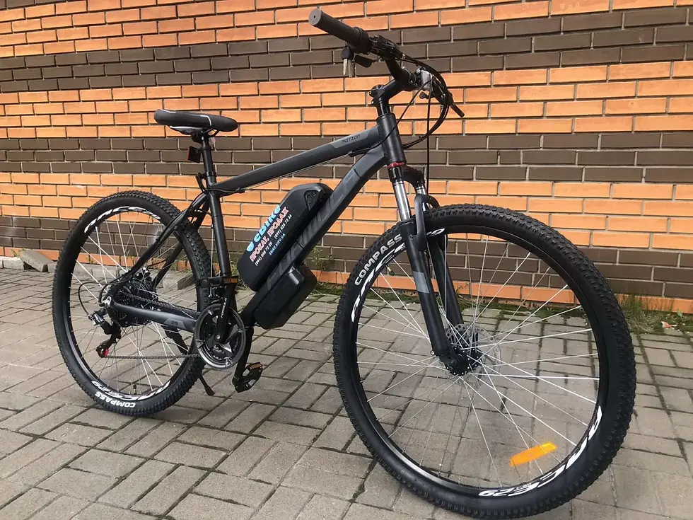 Прев'ю: Електровелосипед Formula Motion 29"