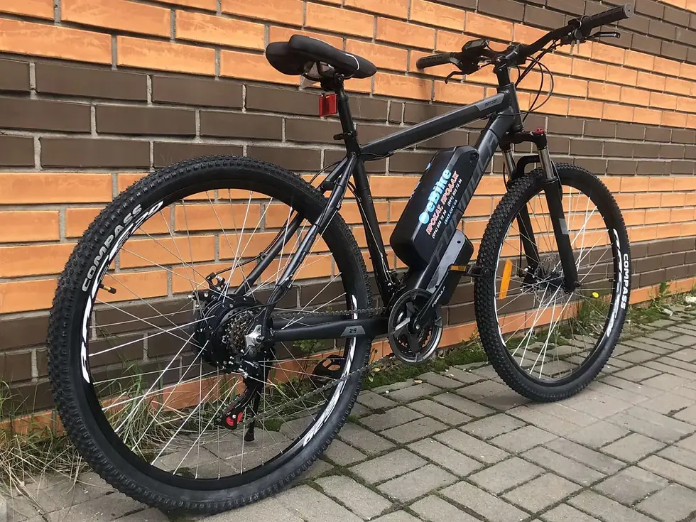 Прев'ю: Електровелосипед Formula Motion 29"