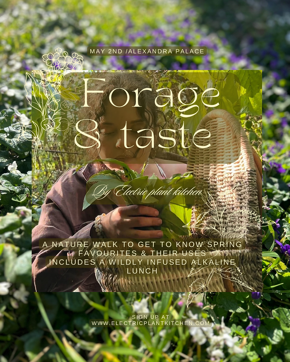 SACRED SEASONS-Forage & taste by Electric Plant Kitchen  
