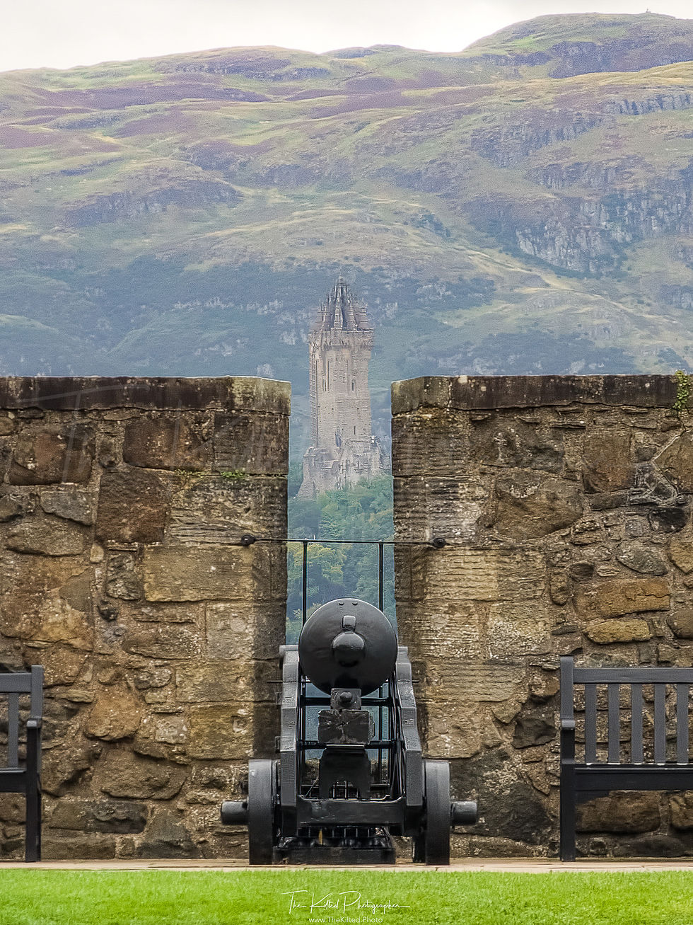 IMG00664 - Wallace Monument from Stirling Castle
