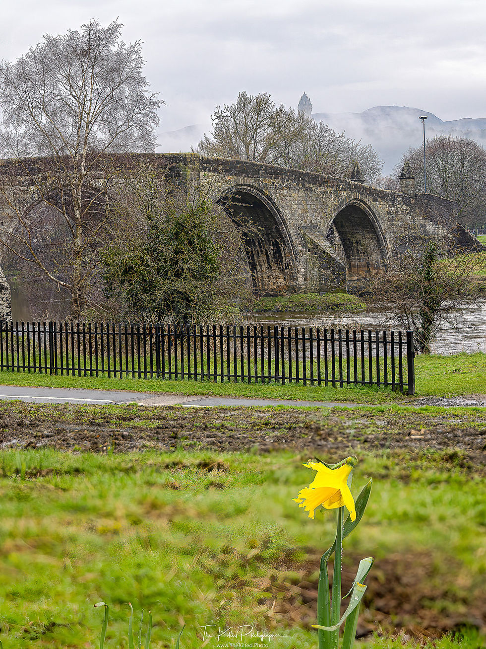 IMG00923 - Spring at Stirling Old Bridge with Wallace Monument