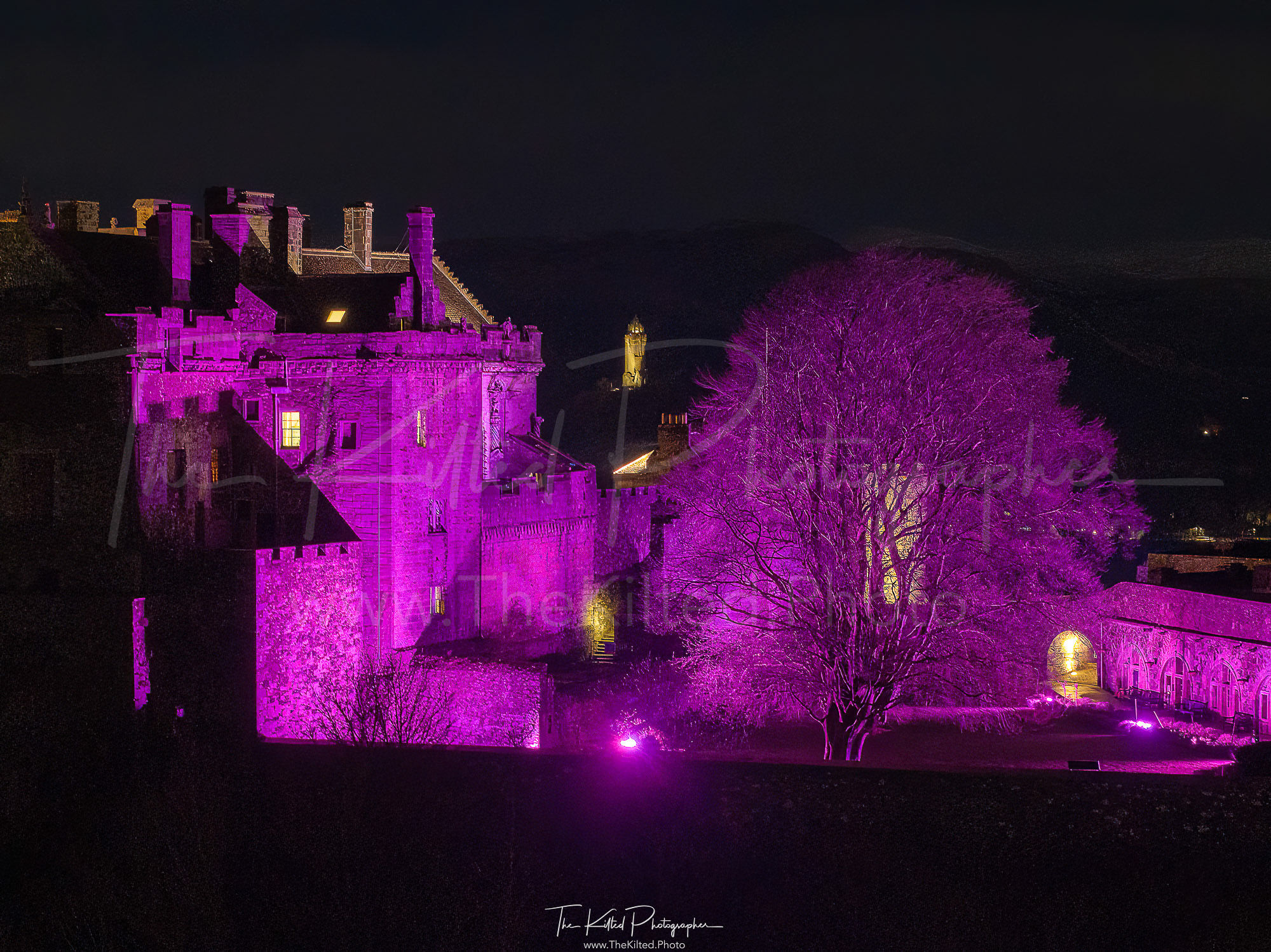 IMG01644 - Stirling Castle Pink Purple Wallace Monument