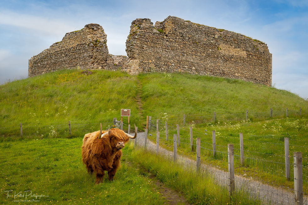 IMG00238 - Murdo and Castle Roy